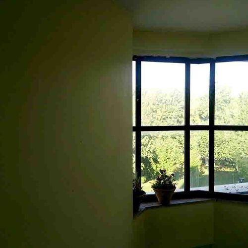 Photo #3604735