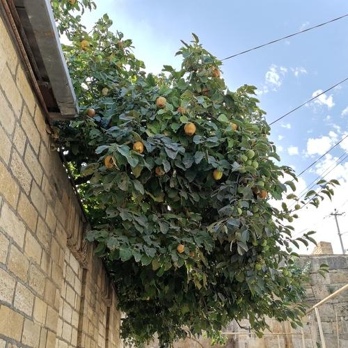 Photo #3605277