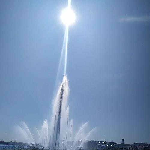 Photo #3605347