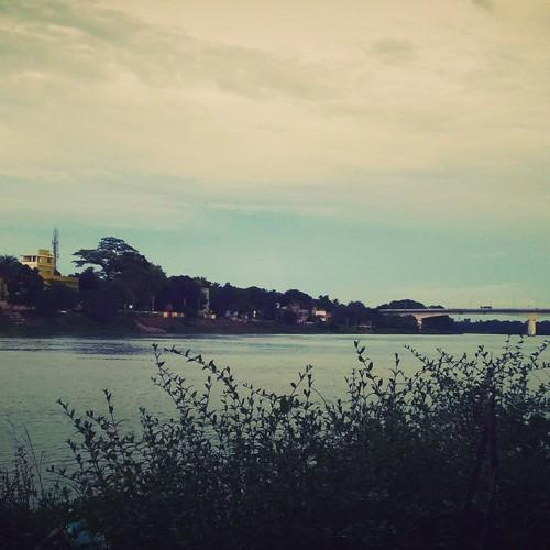 Photo #3605377