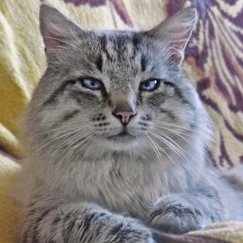 Photo #3605766