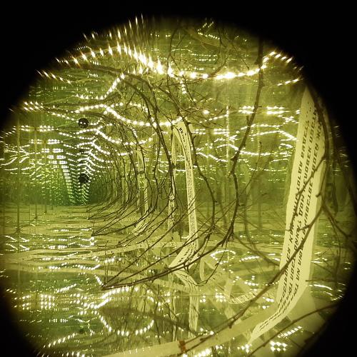 Photo #3605996