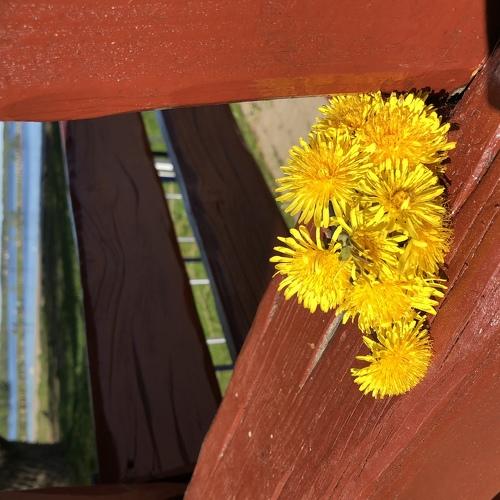 Photo #3606394
