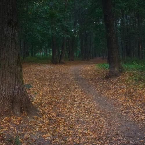 Photo #3606422
