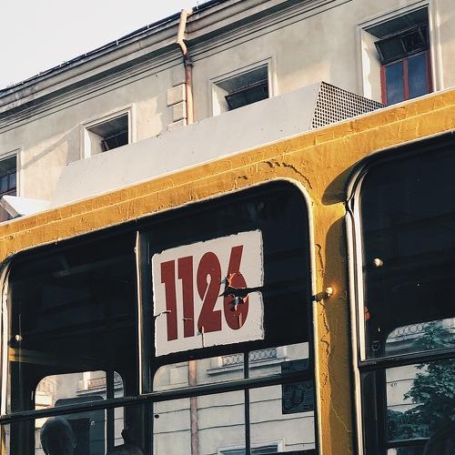 Photo #3606520