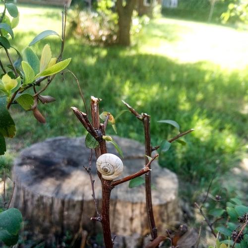 Photo #3606645