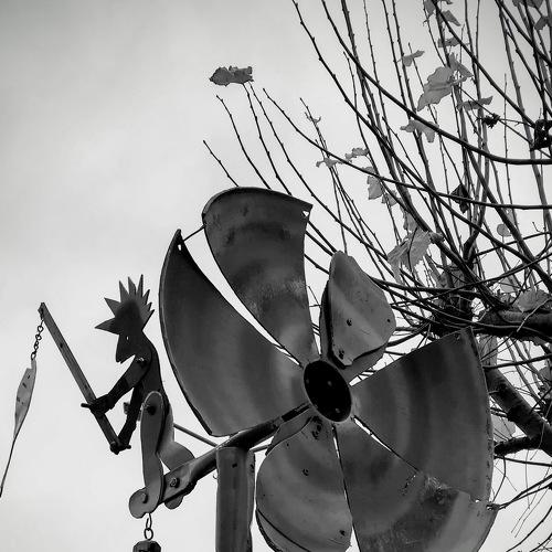 Photo #3606840