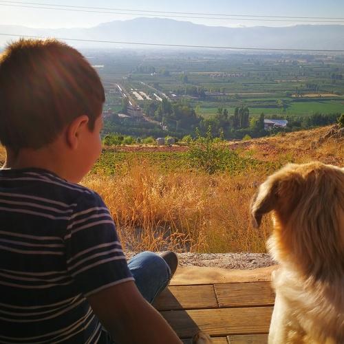 Photo #3606863