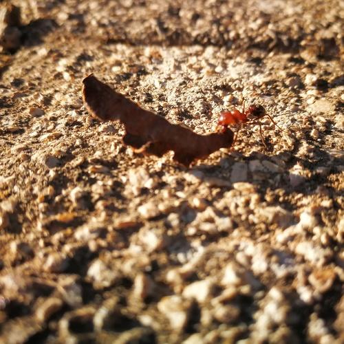 Photo #3606870