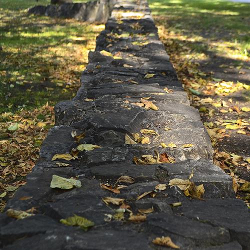 Photo #3606906