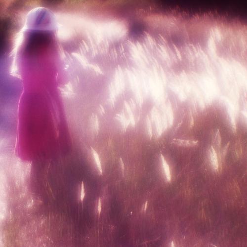 Photo #3606956