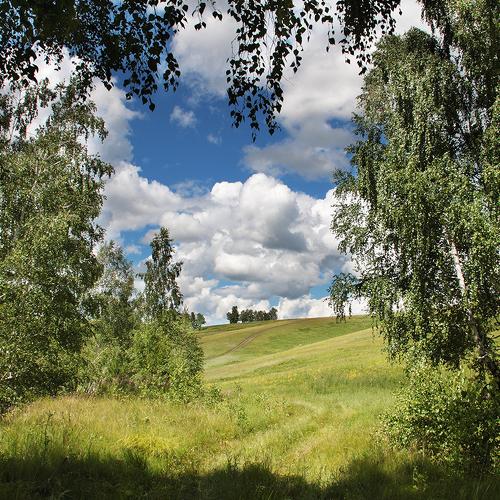 Photo #3606964