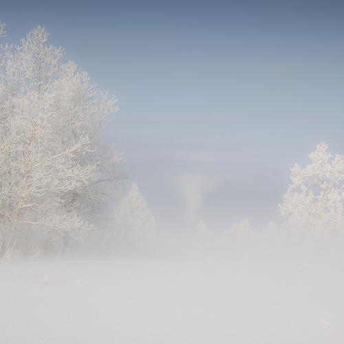 Photo #3606995