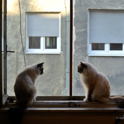 Photo #3607274