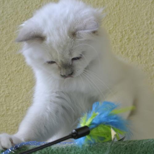 Photo #3607281