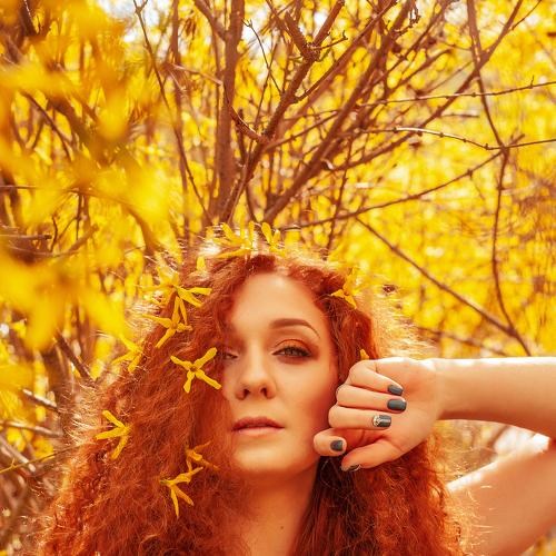 Photo #3607613