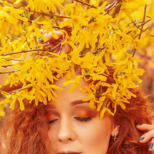 Photo #3607615