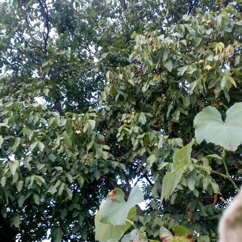 Photo #3607764