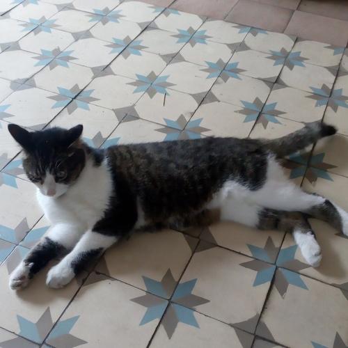 Photo #3607769
