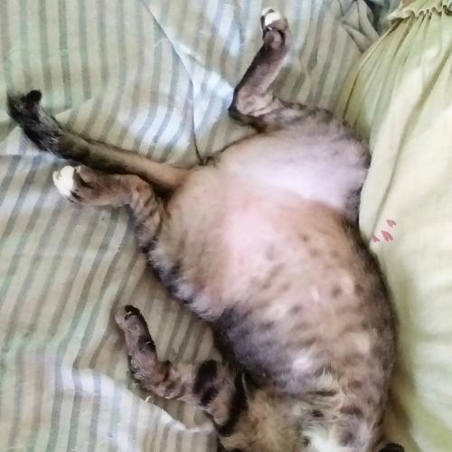 Photo #3607780