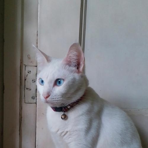 Photo #3607787