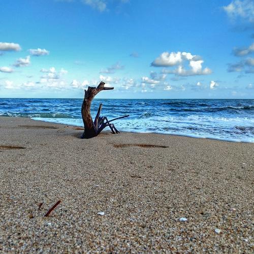 Seascape