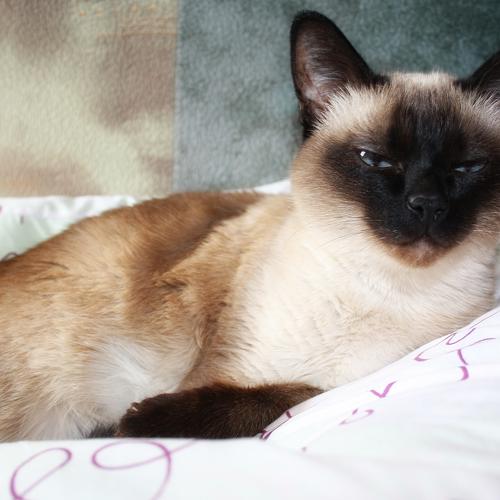Photo #3607815
