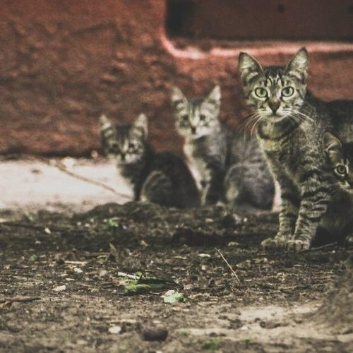 Photo #3607852
