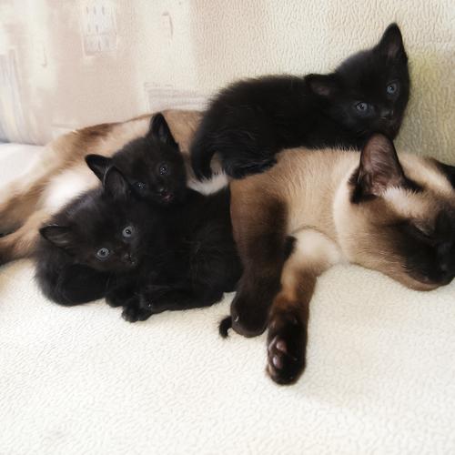 Photo #3607864