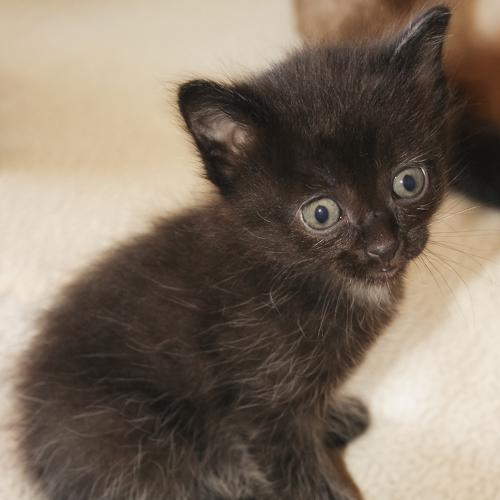 Photo #3607870