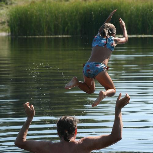 Photo #3608063