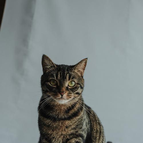 Photo #3608385