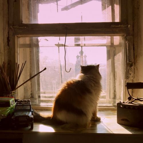 Photo #3608693