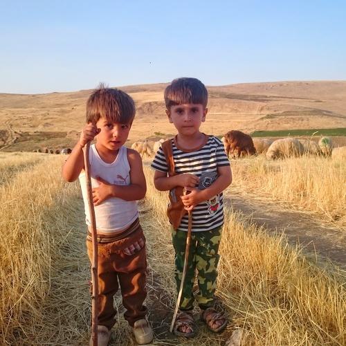 Photo #3608909