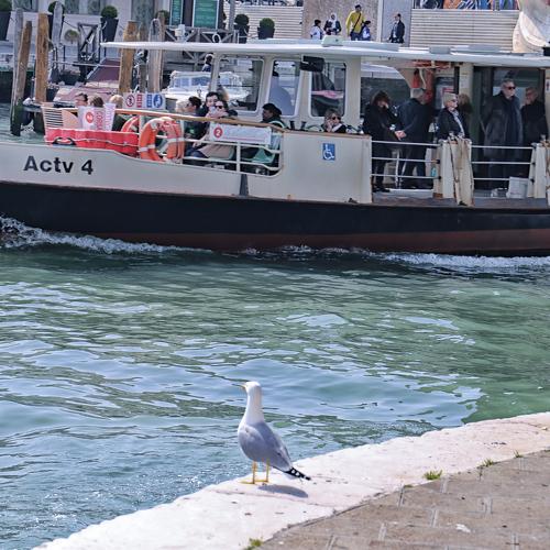 Photo #3609028