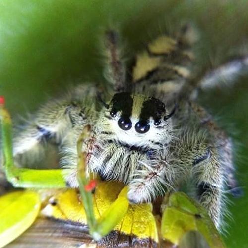 Photo #3609045