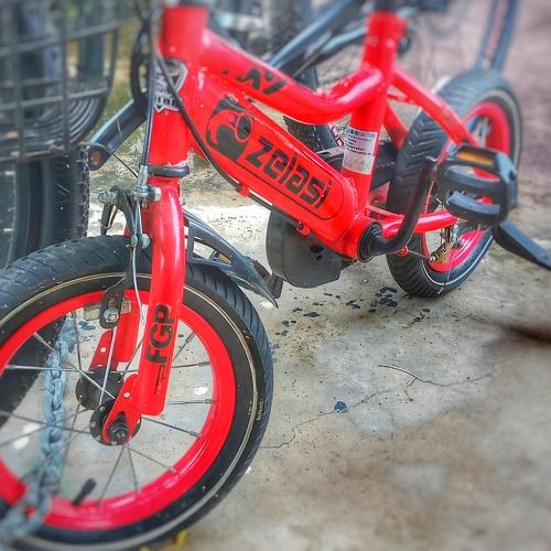 Photo #3609376