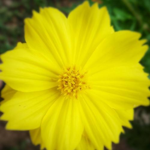 Photo #3609397