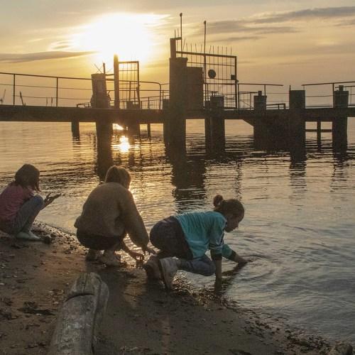 Photo #3609680