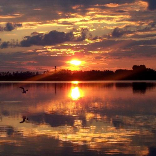 Photo #3609800