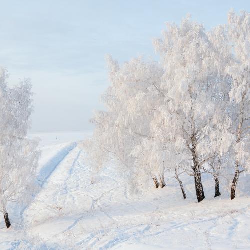 Photo #3610146