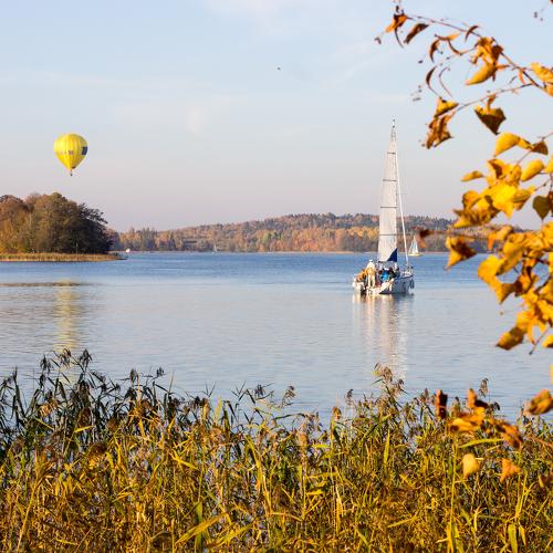 Photo #3610201