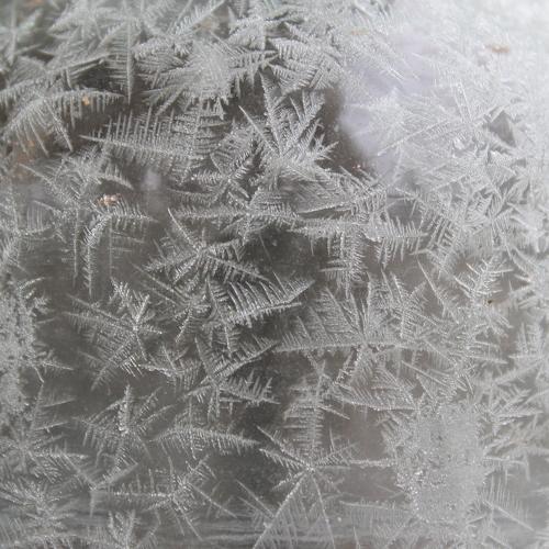 Photo #3610472