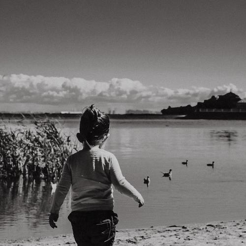 Photo #3610513