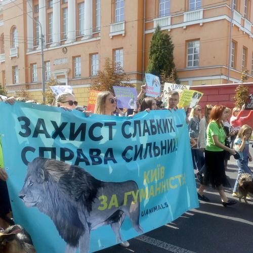 Photo #3611034