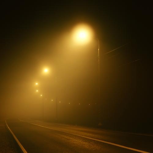 Photo #3611358