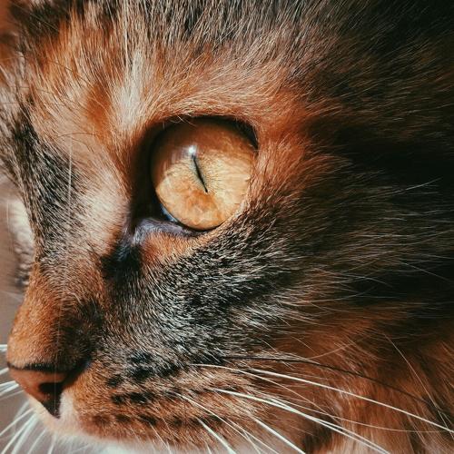 Photo #3611943