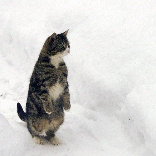 Photo #3611991