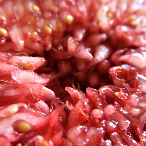 Photo #3612125