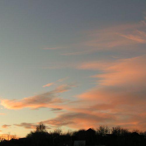 Photo #3612508